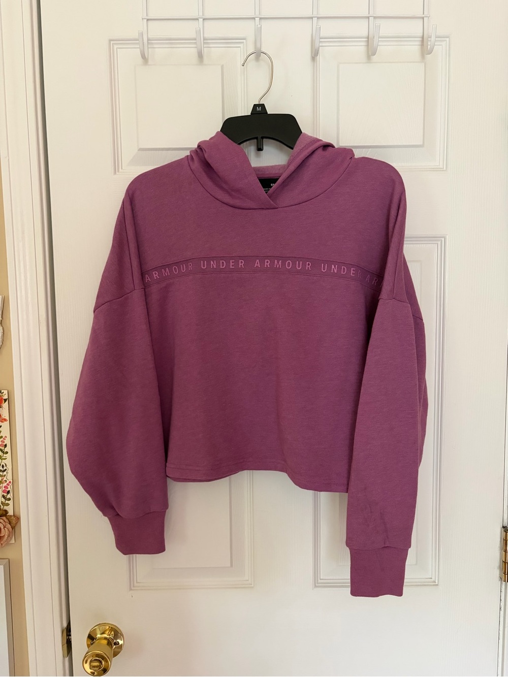 Under Armour Women's Plum Cropped Hoodie